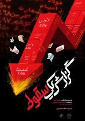 گزارش یک سقوط (مستند)