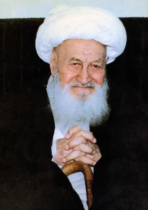 محمدعلی اراکی