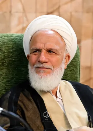 محمود محمدی عراقی