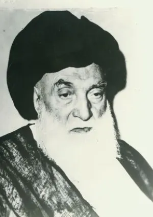 سید حسین طباطبایی بروجردی