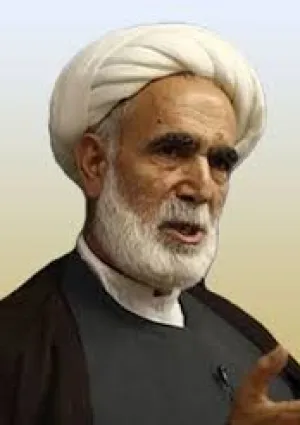 رضا محمدی شاهرودی
