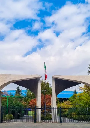 دانشگاه تهران