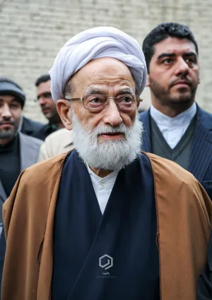 محمد امامی کاشانی