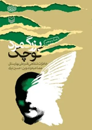 بزرگ‌مرد کوچک (کتاب)