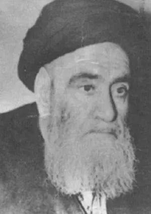 سید عبدالهادی شیرازی