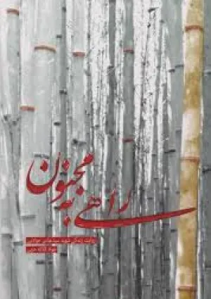 راهی به مجنون (کتاب)