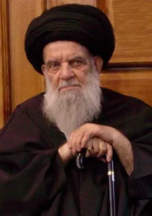 سید عزالدین زنجانی