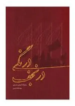 درنگی در نجف (کتاب)