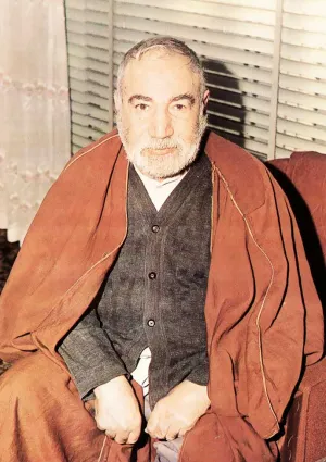 سید حسن میرخانی