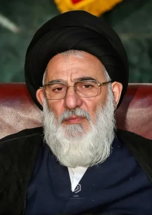 سید محمود هاشمی شاهرودی