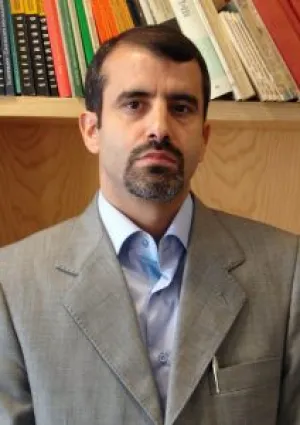 حسن رضایی باغ‌بیدی