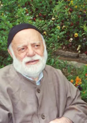 حسن مصطفوی