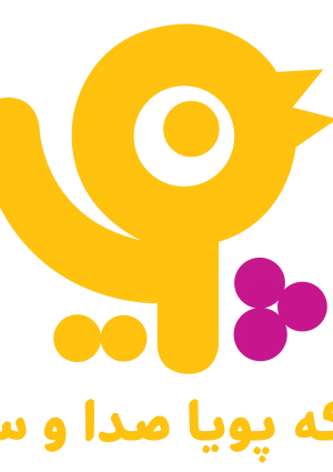 شبکه پویا
