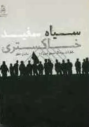 سیاه سفید خاکستری (کتاب)
